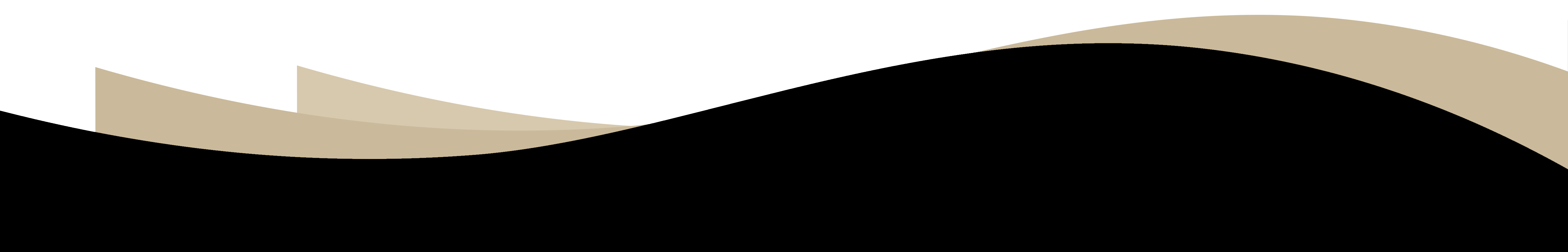 header-bg-bottom top spae